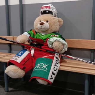 Regensburger Eisbaeren baerenbotschafterhope ambulanterkinderhospizdienst loewenzahnregegensburg x