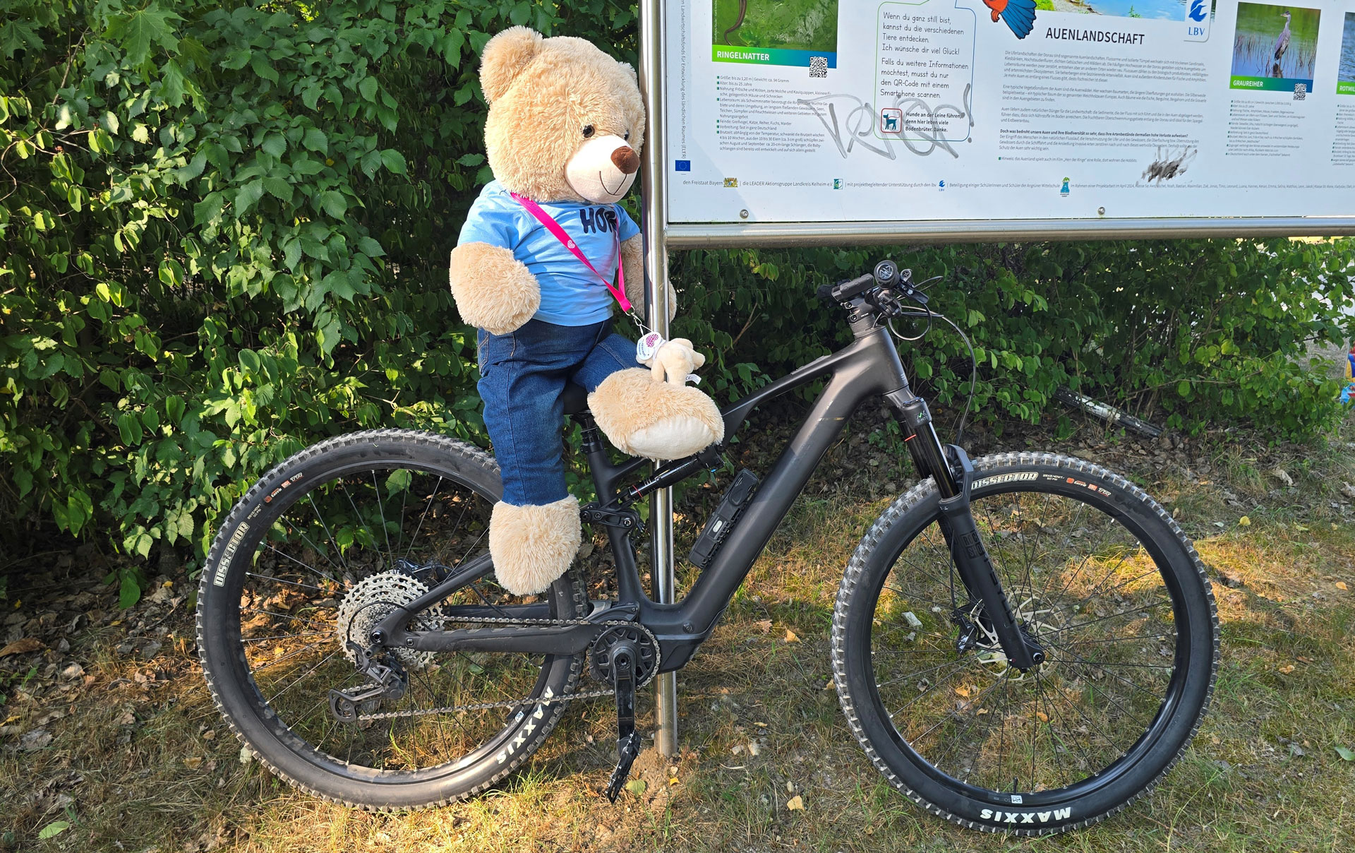 Bad Abbach Benefiz MTB Fahrtechnik Tag Titel